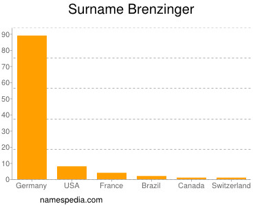 Surname Brenzinger