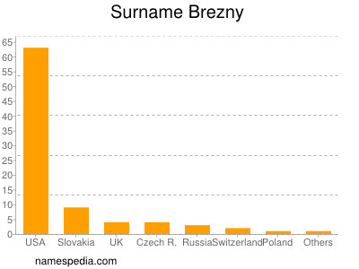Surname Brezny