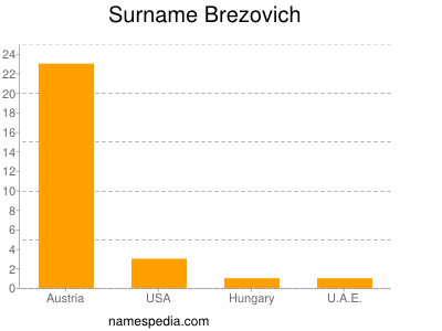 Surname Brezovich