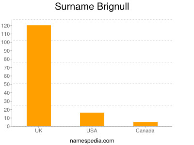 Surname Brignull