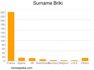 Surname Briki