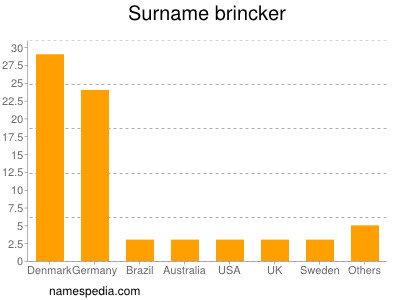 Surname Brincker