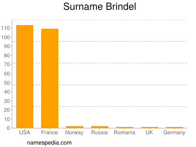 Surname Brindel