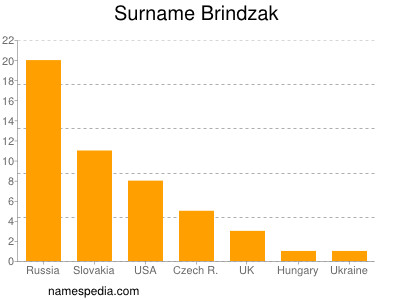 Surname Brindzak