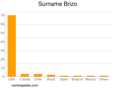 Surname Brizo