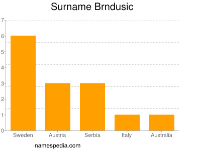 Surname Brndusic