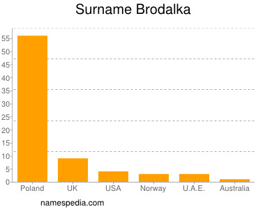 Surname Brodalka