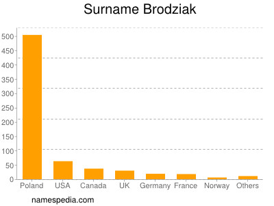 Surname Brodziak