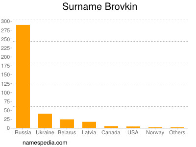 Surname Brovkin