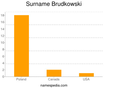 Surname Brudkowski