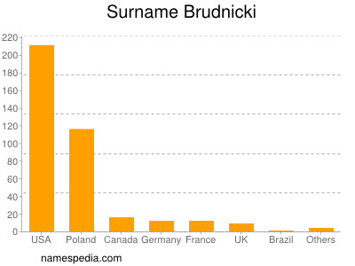 Surname Brudnicki