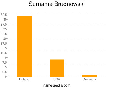 Surname Brudnowski