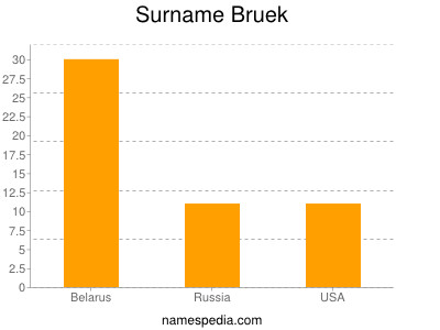 Surname Bruek