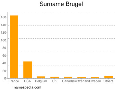 Surname Brugel