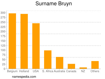 Surname Bruyn