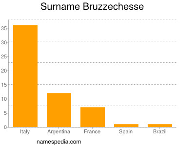 Surname Bruzzechesse