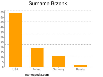 Surname Brzenk
