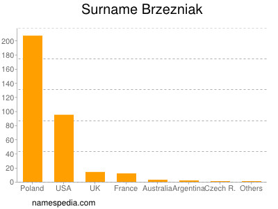 Surname Brzezniak