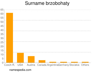 Surname Brzobohaty