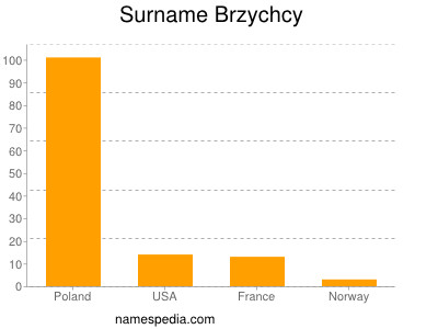 Surname Brzychcy