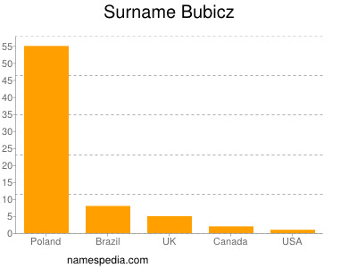 Surname Bubicz