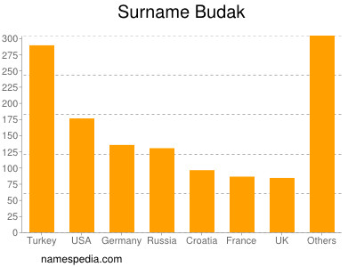 Surname Budak