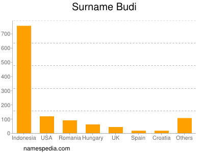 Surname Budi