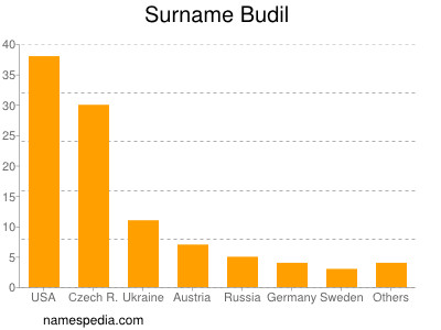 Surname Budil