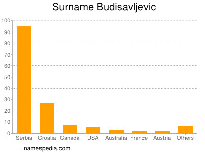 Surname Budisavljevic