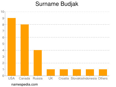 Surname Budjak