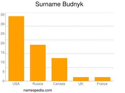Surname Budnyk