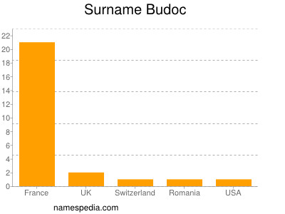 Surname Budoc