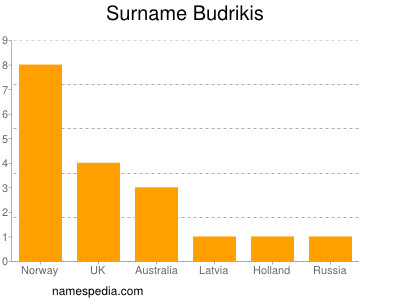 Surname Budrikis