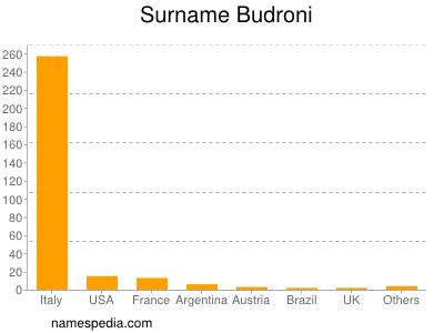 Surname Budroni