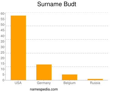 Surname Budt
