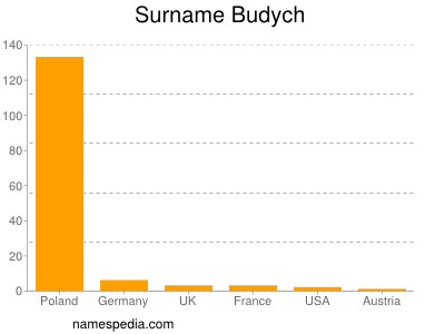 Surname Budych