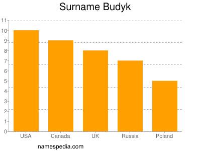 Surname Budyk