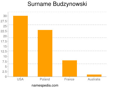 Surname Budzynowski