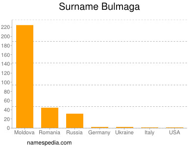 Surname Bulmaga