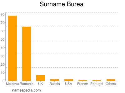 Surname Burea