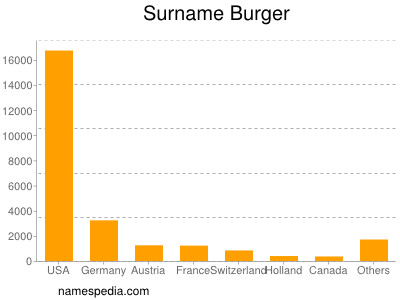 Surname Burger