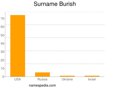 Surname Burish