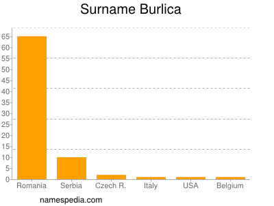 Surname Burlica