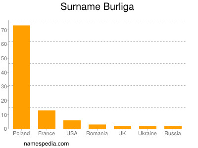 Surname Burliga