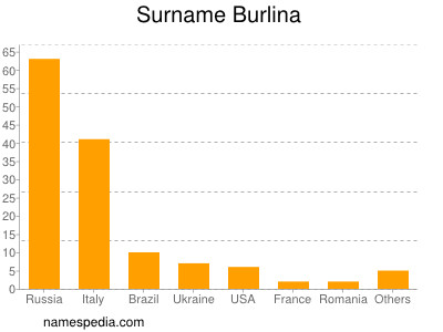 Surname Burlina