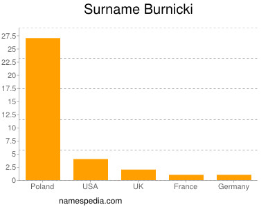 Surname Burnicki