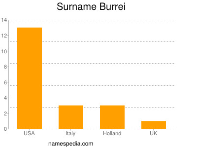 Surname Burrei