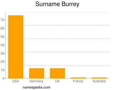 Surname Burrey