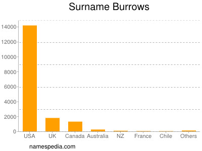 Surname Burrows