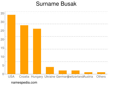 Surname Busak